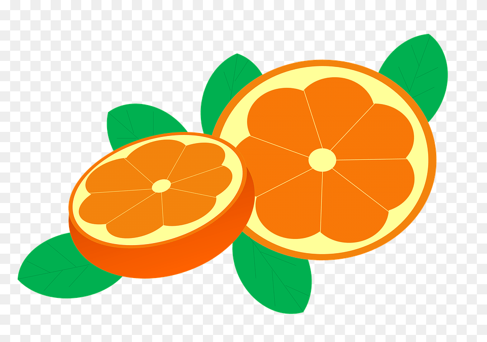 Oranges Citrus Fruit, Food, Fruit, Grapefruit Free Png