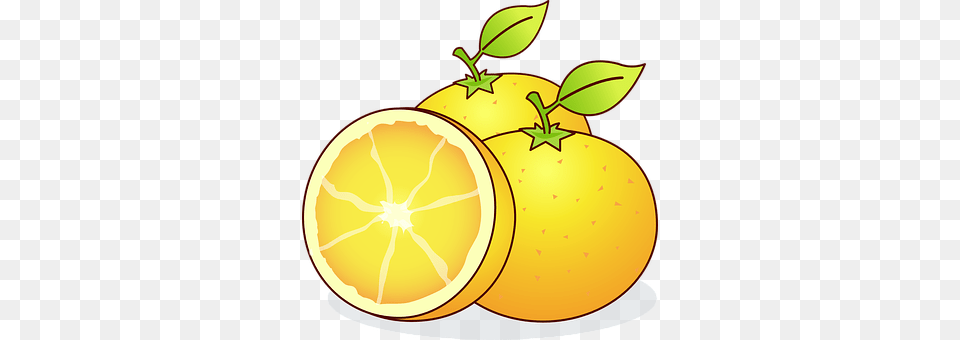 Oranges Citrus Fruit, Food, Fruit, Grapefruit Free Png