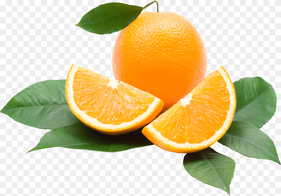 Oranges, Citrus Fruit, Food, Fruit, Orange Free Transparent Png