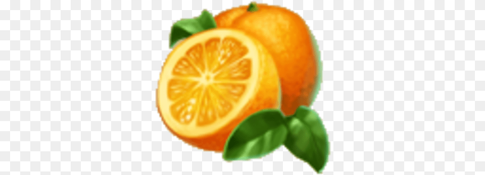 Oranges, Citrus Fruit, Food, Fruit, Orange Free Png Download