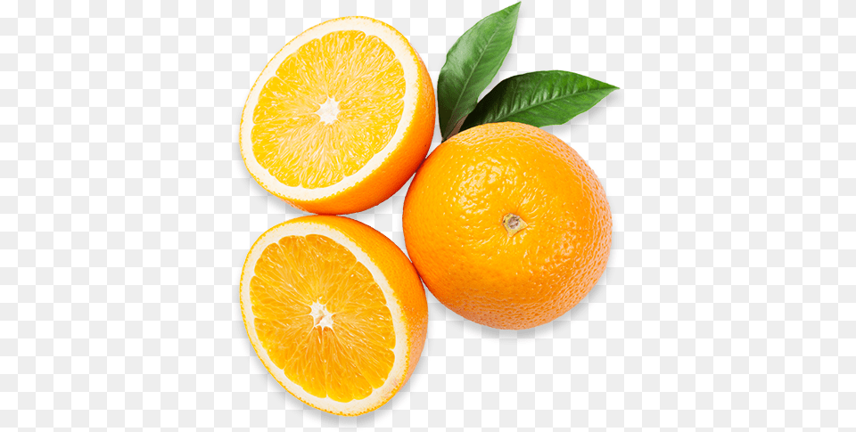 Oranges Americas Breakroom Orange, Citrus Fruit, Food, Fruit, Grapefruit Free Png Download