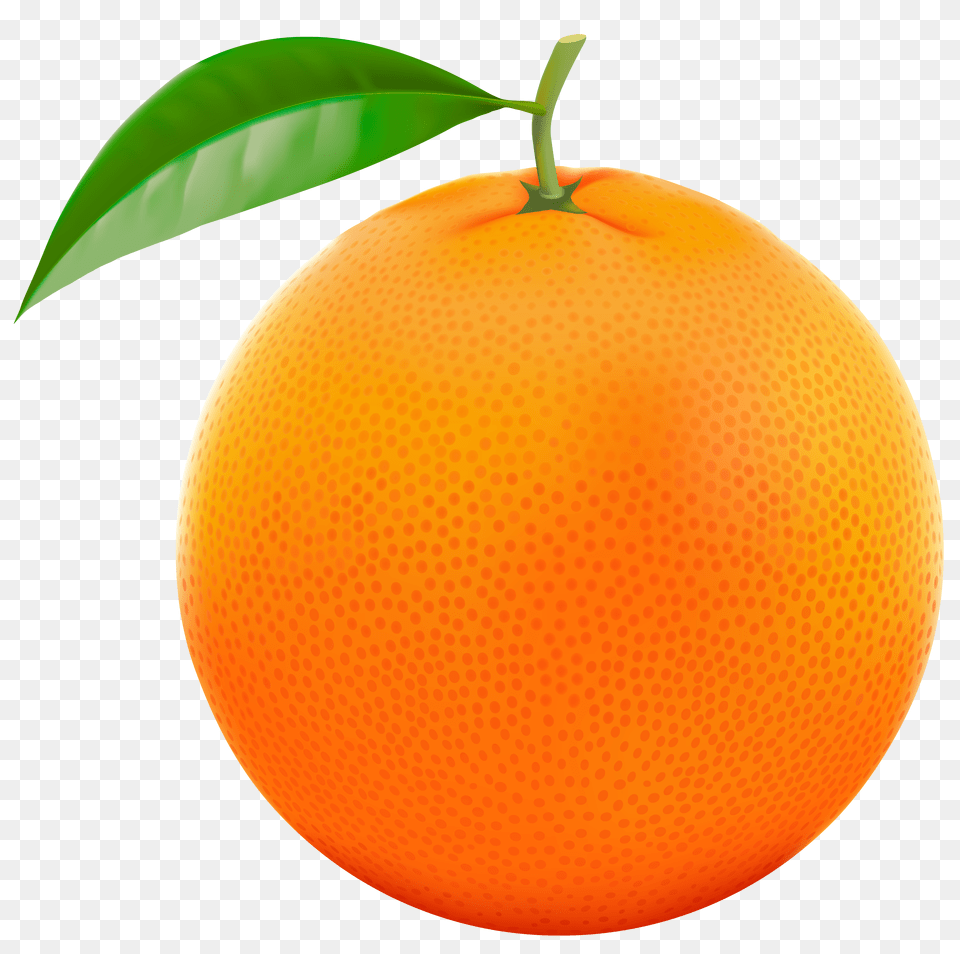 Oranges Clip Art Top View, Citrus Fruit, Food, Fruit, Grapefruit Free Png Download