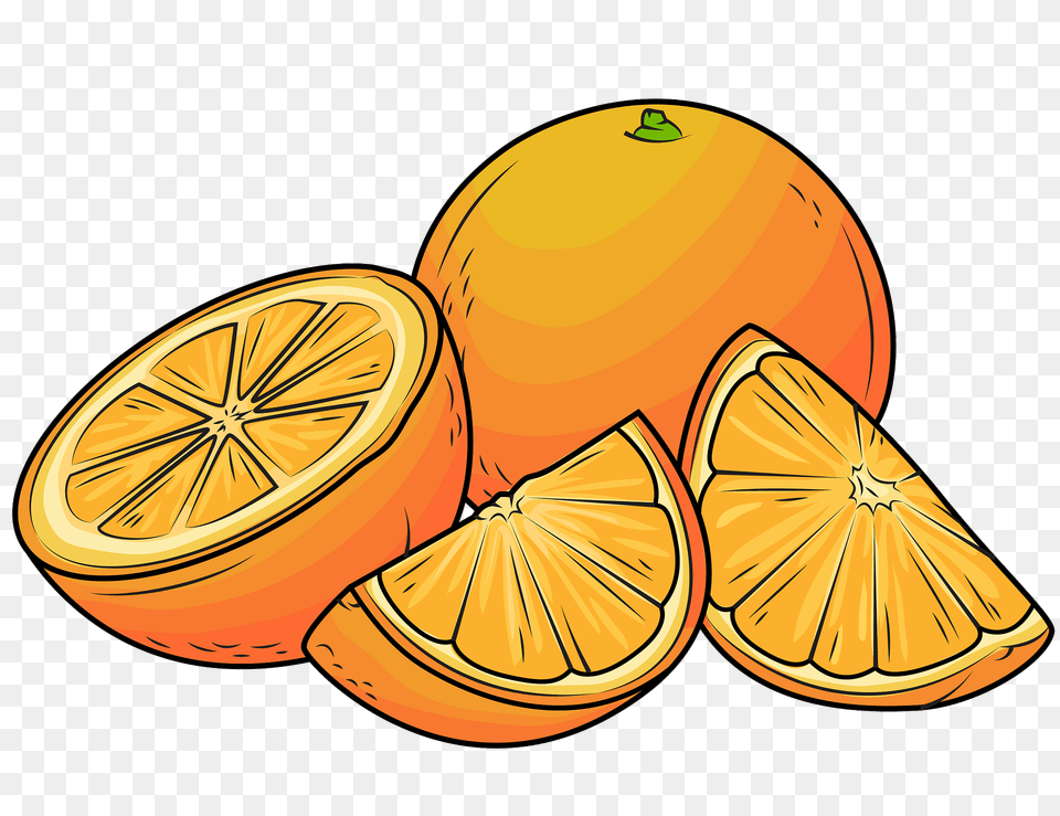 Oranges Clipart, Citrus Fruit, Produce, Food, Fruit Free Transparent Png