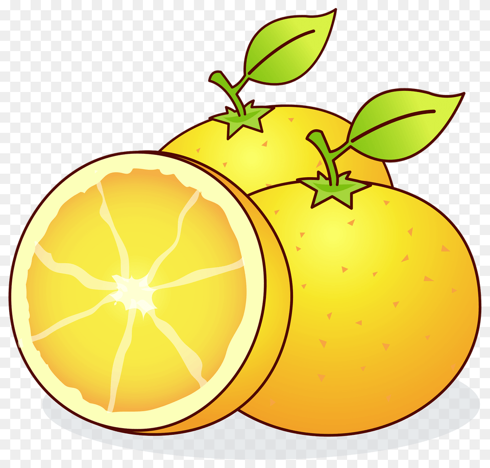 Oranges Clipart, Citrus Fruit, Food, Fruit, Grapefruit Free Transparent Png