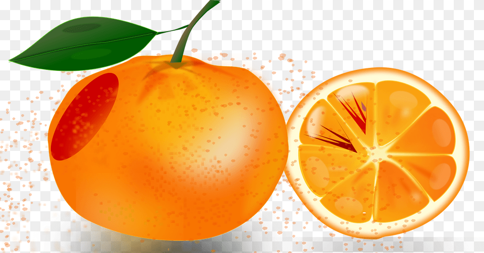 Oranges Clipart, Citrus Fruit, Food, Fruit, Grapefruit Png Image