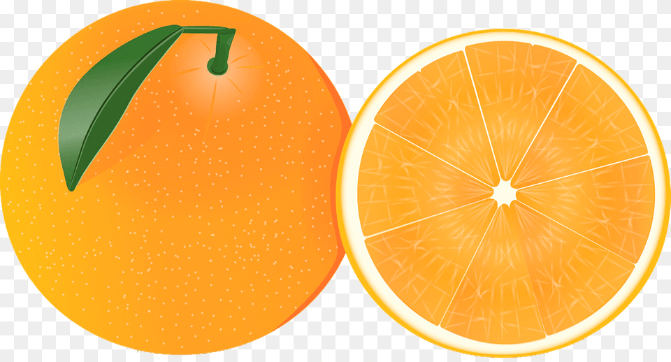 Oranges Clipart, Citrus Fruit, Produce, Food, Fruit Free Png Download
