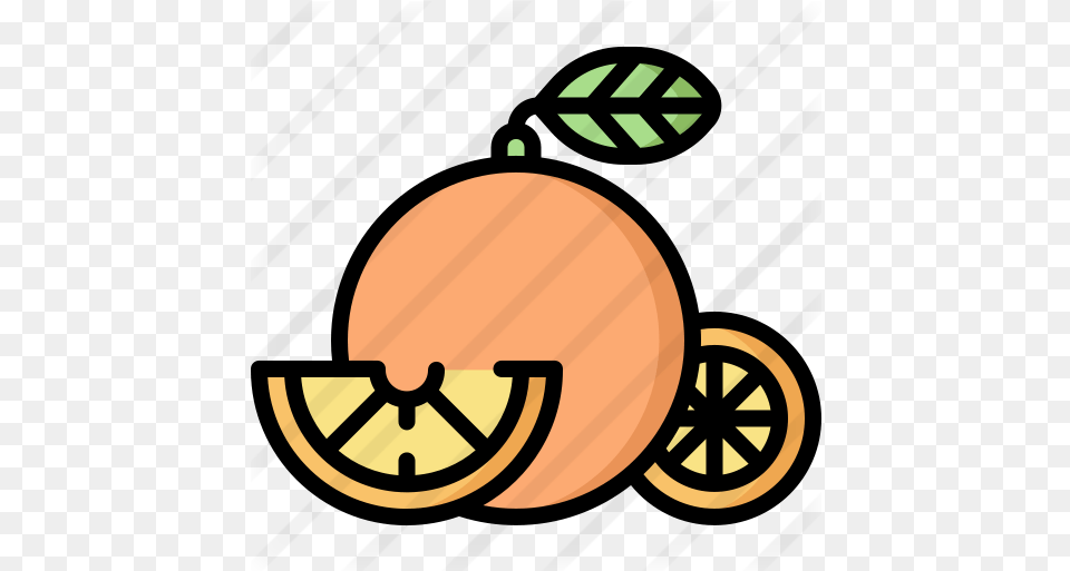Oranges Farming And Gardening Icons Icon, Food, Plant, Produce, Pumpkin Free Transparent Png