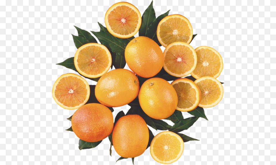 Oranges Fruits Agrumes Orange, Citrus Fruit, Food, Fruit, Grapefruit Free Transparent Png