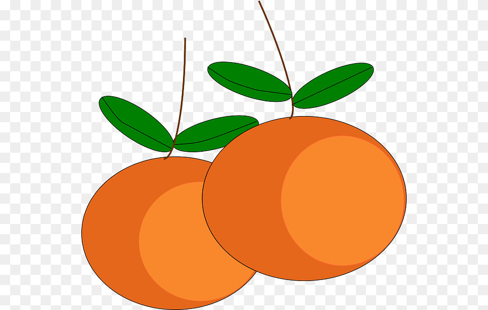 Oranges Fruits Citrus Ripe Juicy Vitamins Sweet Gambar Vektor Buah Buahan, Citrus Fruit, Food, Fruit, Orange Png