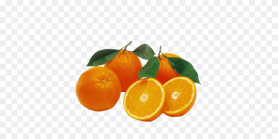Oranges Transparent Citrus Fruit, Food, Fruit, Orange Png Image