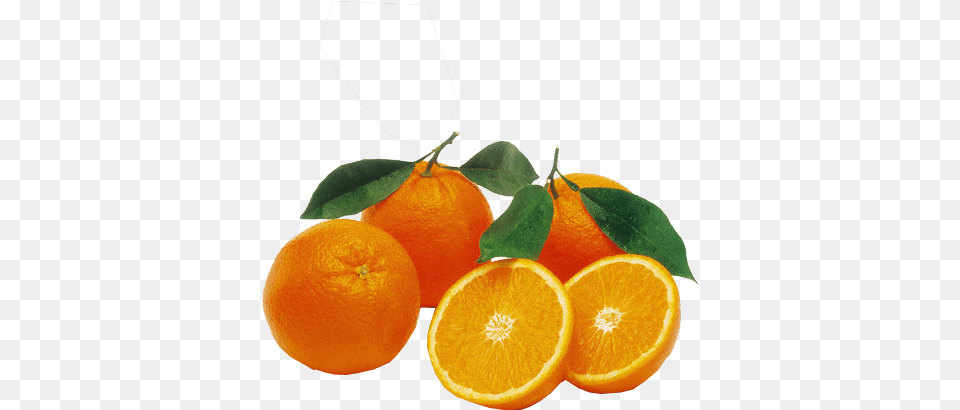 Oranges Transparent Free Images Orange Valencia South Africa, Citrus Fruit, Food, Fruit, Plant Png Image
