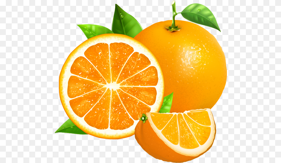 Oranges Vector, Citrus Fruit, Food, Fruit, Grapefruit Png Image