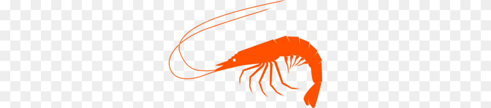 Orangeshrimp Clip Art, Food, Seafood, Animal, Sea Life Png Image