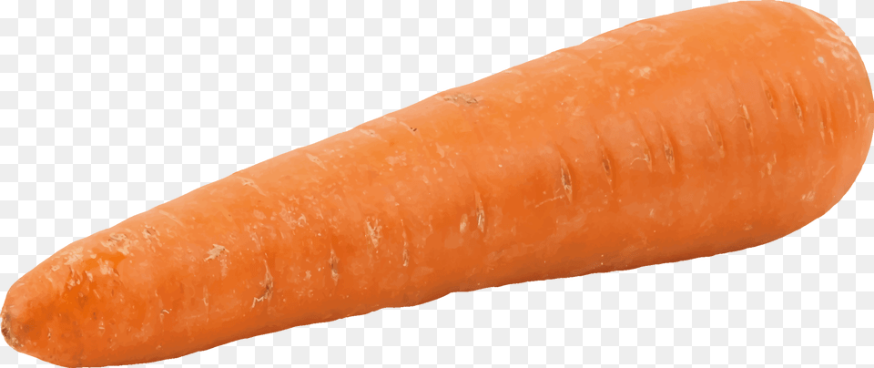 Orangewild Carrotcarrot 1 Carrot, Food, Plant, Produce, Vegetable Free Transparent Png