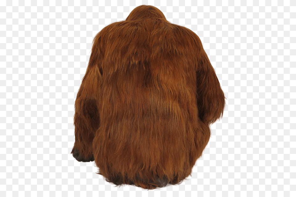 Orangutan, Clothing, Coat, Fur, Jacket Free Png Download