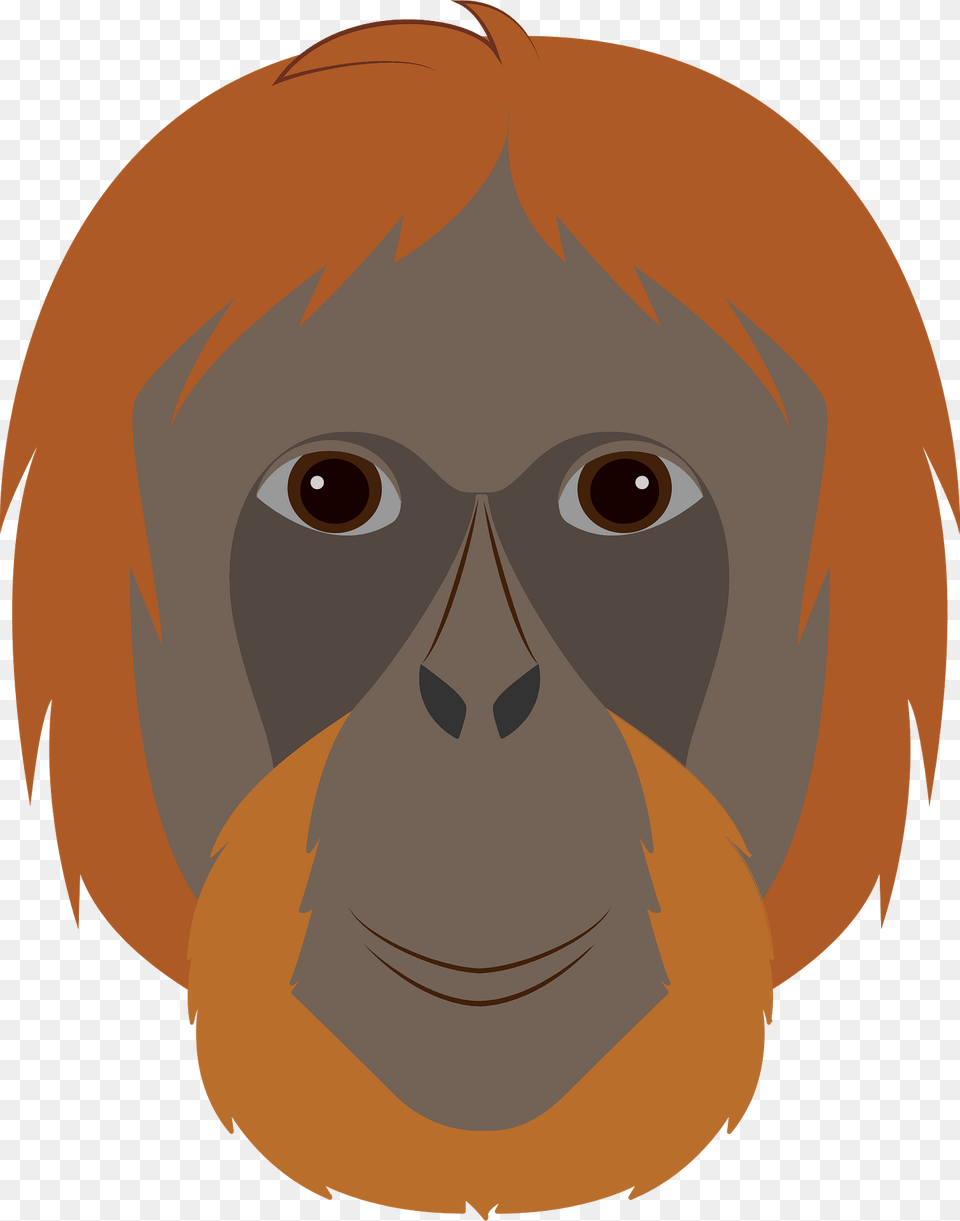 Orangutan Face Clipart, Animal, Wildlife, Mammal, Ape Png