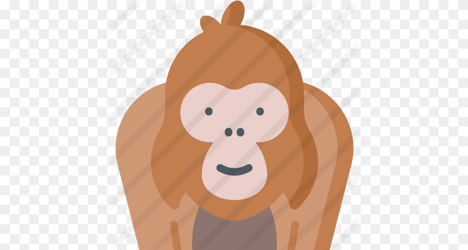 Orangutan Illustration, Animal, Bear, Mammal, Wildlife Png