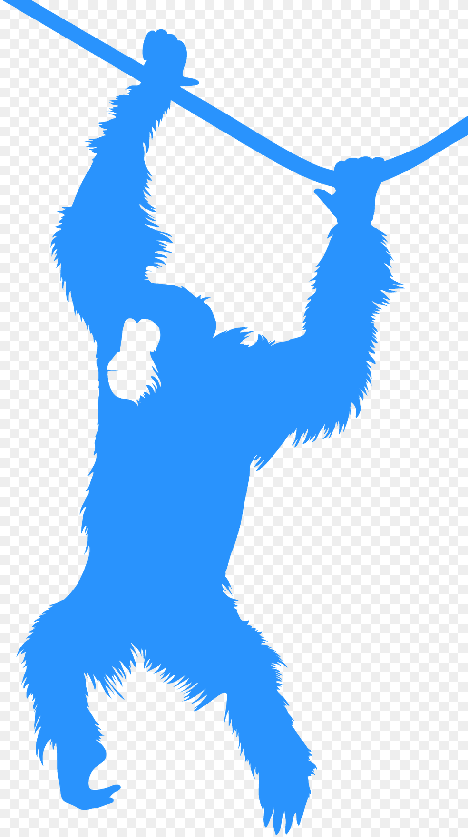 Orangutan Silhouette, Animal, Ape, Mammal, Wildlife Free Png