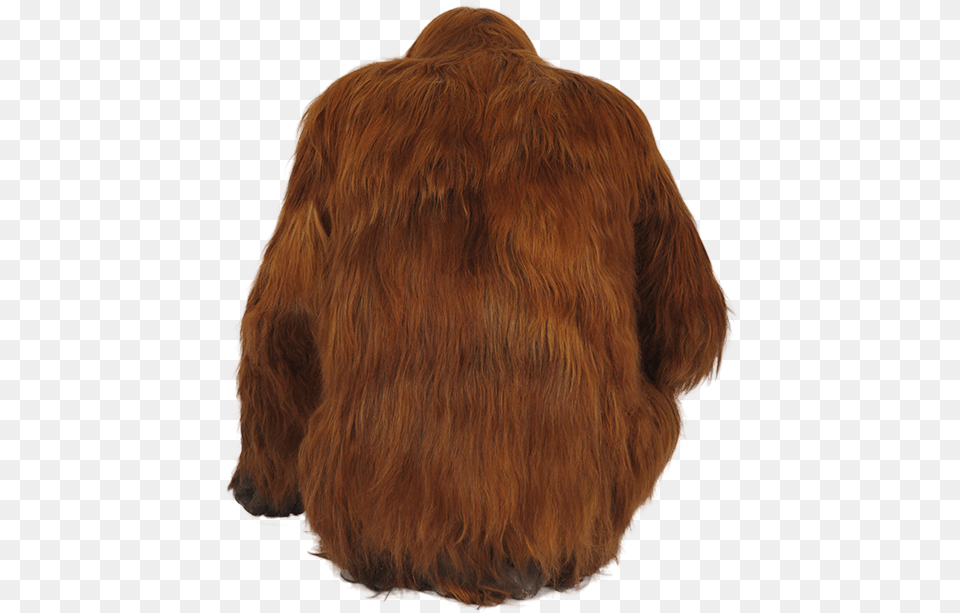 Orangutan Transparent Image Fur Clothing, Coat, Jacket, Animal, Bear Png