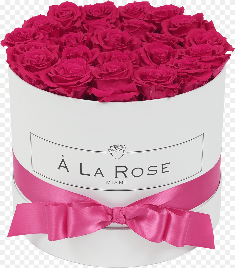 Orb Deluxe Hot Pink Roses, Rose, Plant, Petal, Flower Bouquet Png Image
