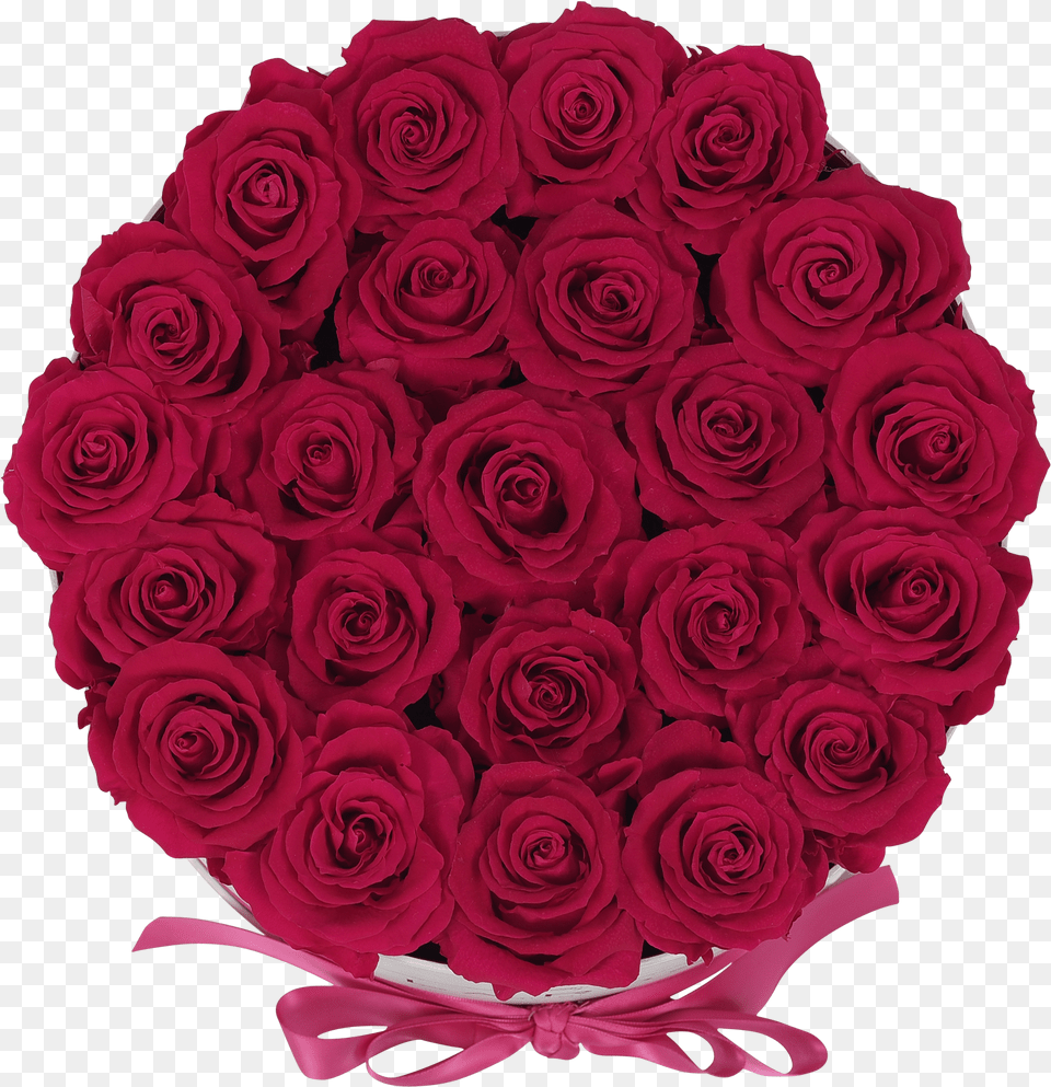 Orb Deluxe Hot Pink Rosesclass Lazyload Lazyload Garden Roses, Rose, Plant, Flower, Flower Arrangement Free Png