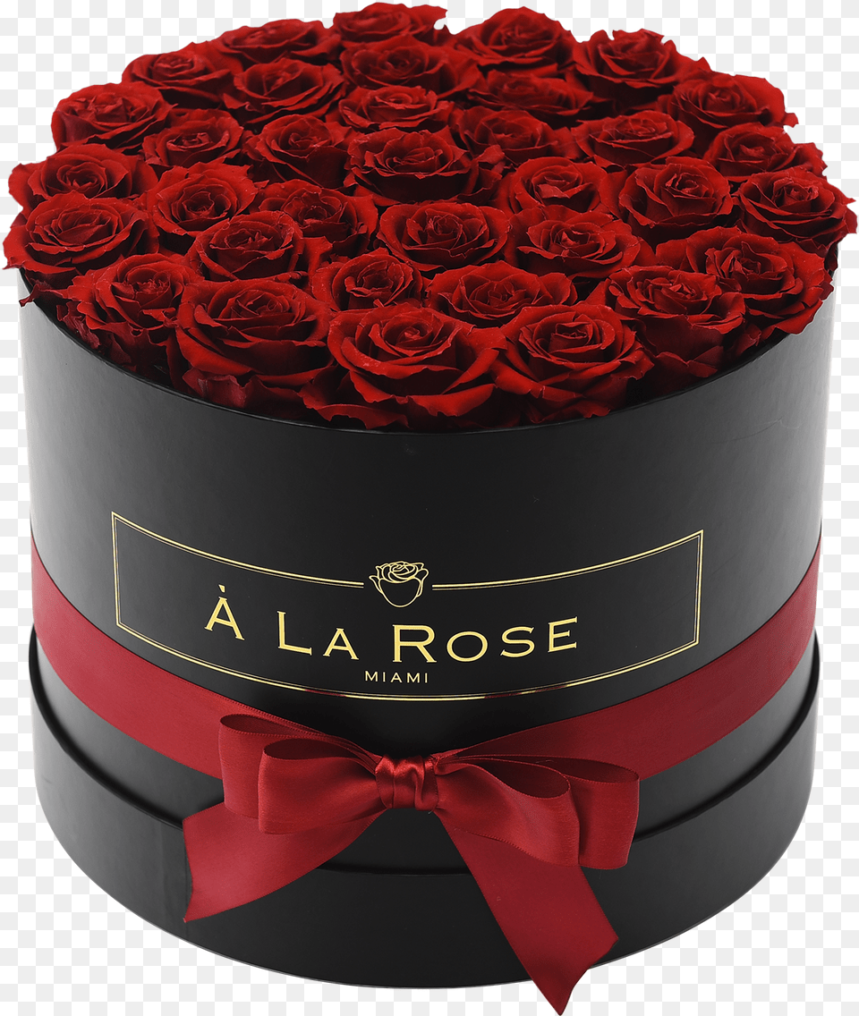Orb Grand Antique Red Roses Rose, Plant, Flower, Flower Bouquet, Flower Arrangement Free Png