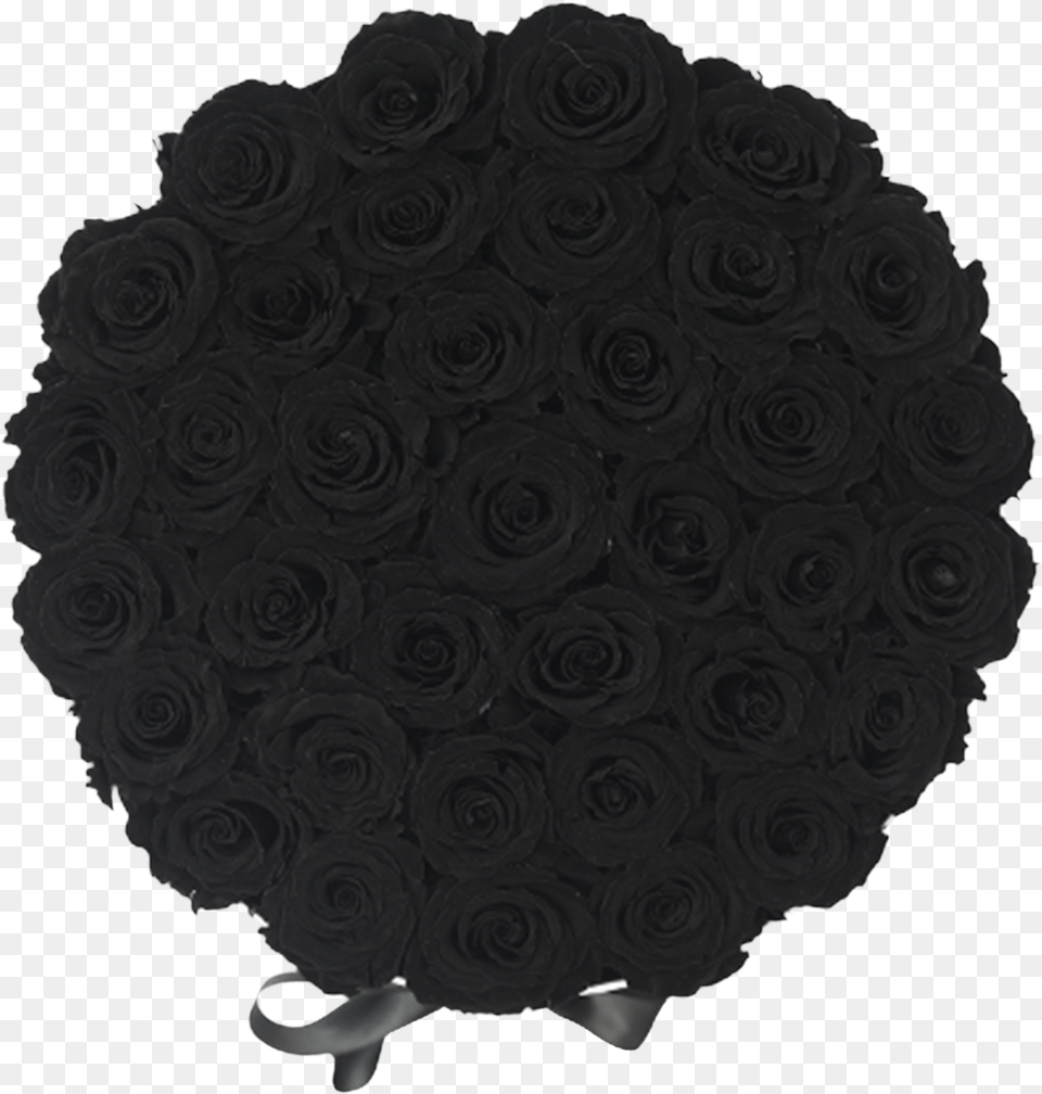 Orb Grand Black Rosesclass Lazyload Lazyload Fade Sandwich Cookies, Home Decor, Clothing, Hat, Flower Png Image