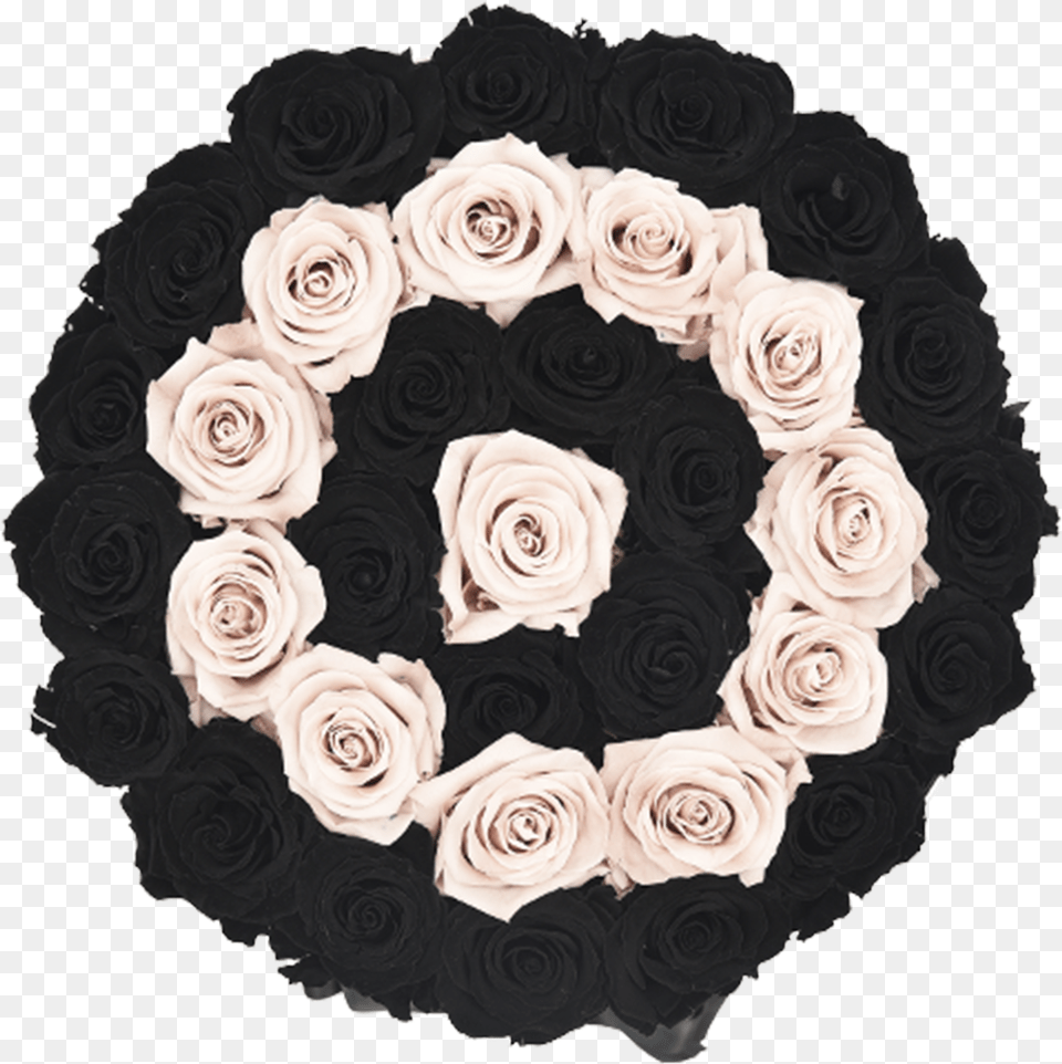 Orb Grand New Sand And Black Rows Roses, Home Decor, Art, Floral Design, Flower Png