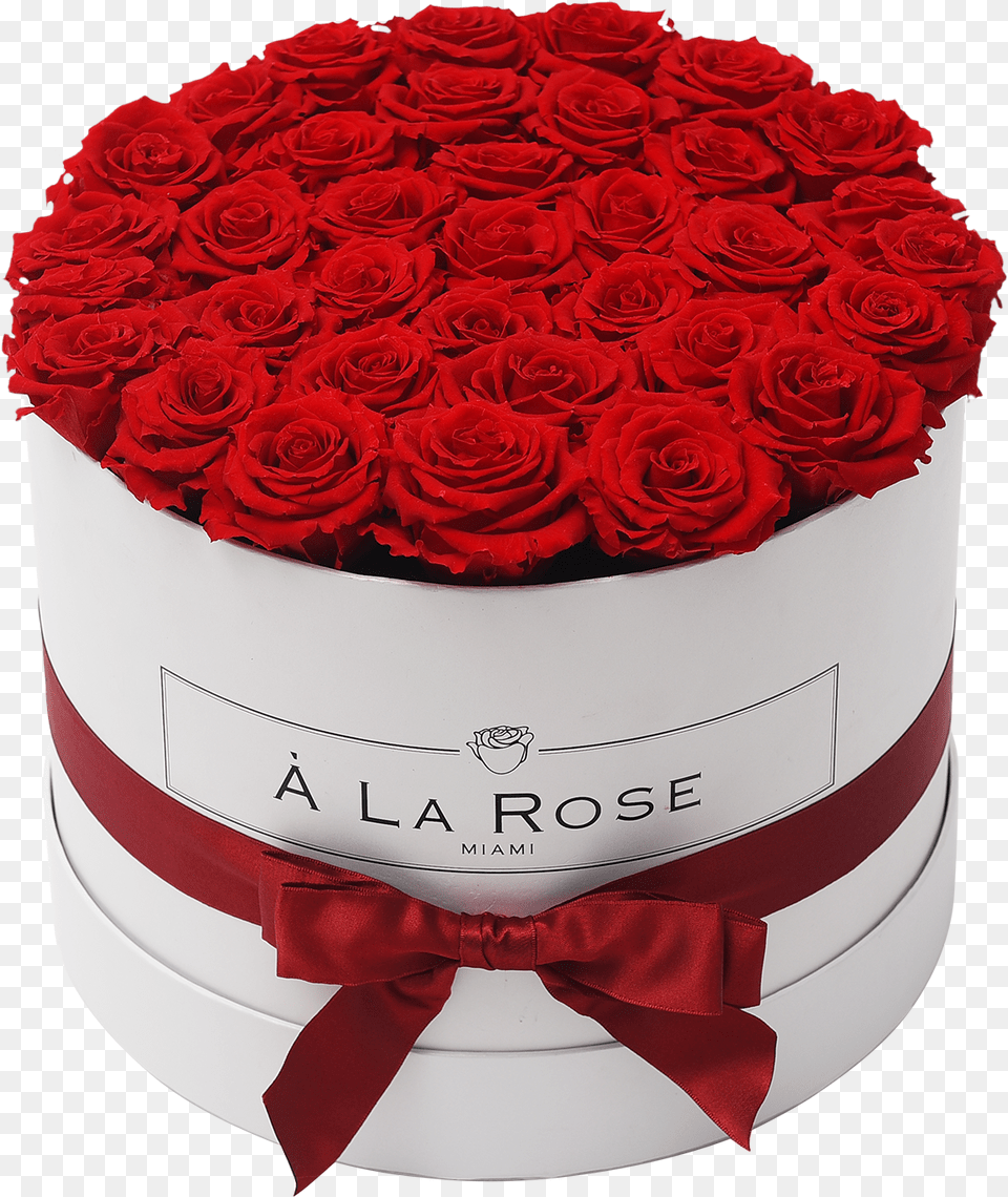Orb Grand Red Roses Red Roses, Rose, Plant, Flower, Food Png