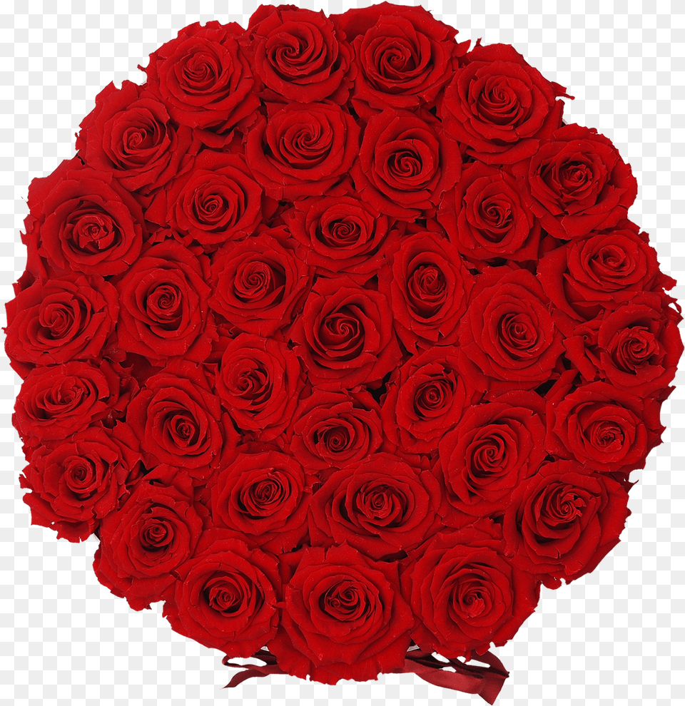 Orb Grand Red Rosesclass Lazyload Lazyload Fade Garden Roses, Rose, Plant, Flower Bouquet, Flower Arrangement Free Png
