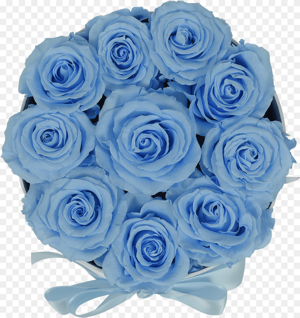 Orb Original Baby Blue Rosesclass Lazyload Lazyload, Flower, Flower Arrangement, Flower Bouquet, Plant Free Png Download