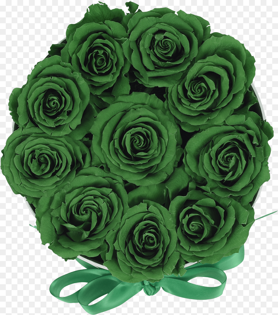 Orb Original Emerald Green Roses Emerald Green Flowers, Rose, Plant, Pattern, Flower Free Png Download