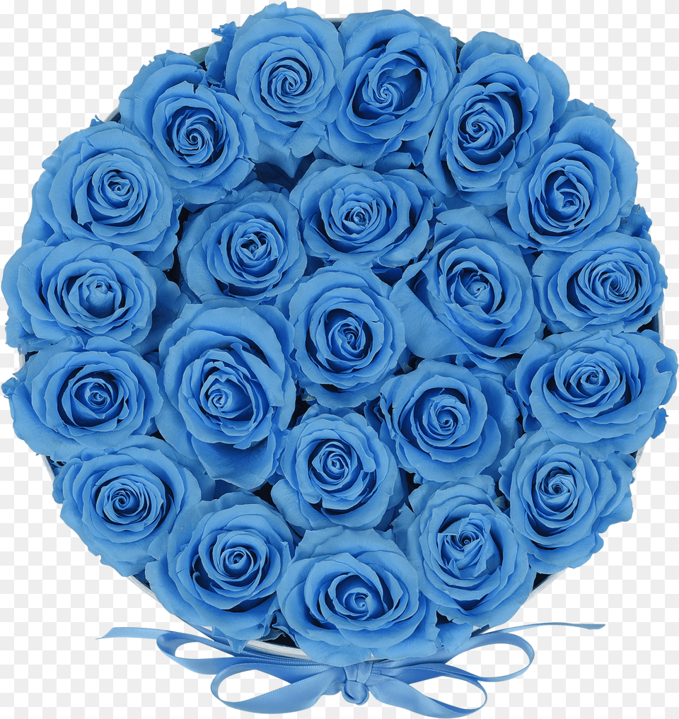 Orbdeluxe Baby Blue Roses Baby Blue Roses, Flower, Flower Arrangement, Flower Bouquet, Plant Free Transparent Png