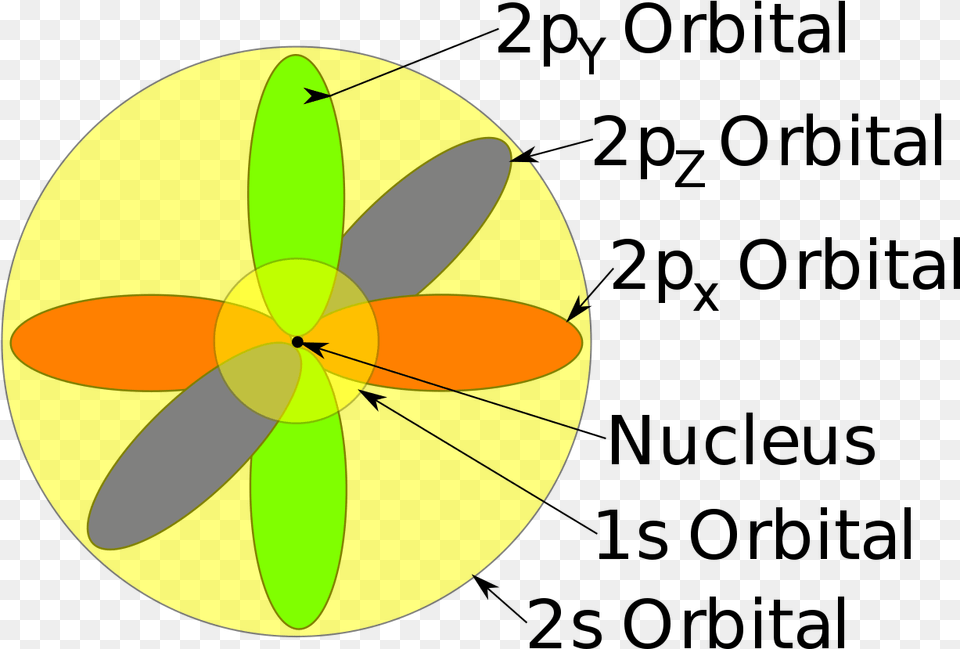 Orbital Model Of The Atom, Animal, Wasp, Invertebrate, Insect Png Image