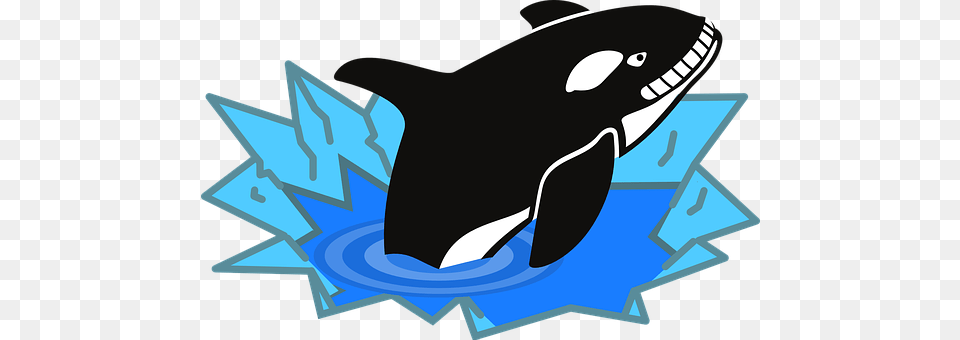 Orca Animal, Mammal, Sea Life, Whale Png Image