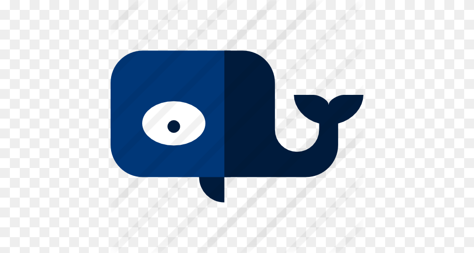 Orca, Paper Png Image