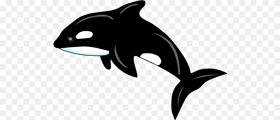 Orca, Animal, Sea Life, Mammal, Whale Free Transparent Png