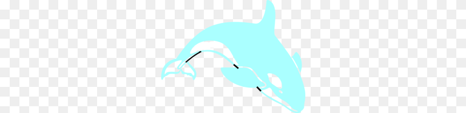 Orca Clip Art, Animal, Dolphin, Mammal, Sea Life Png