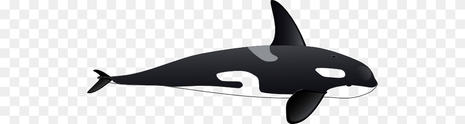 Orca Clip Art, Animal, Sea Life, Mammal, Whale Png