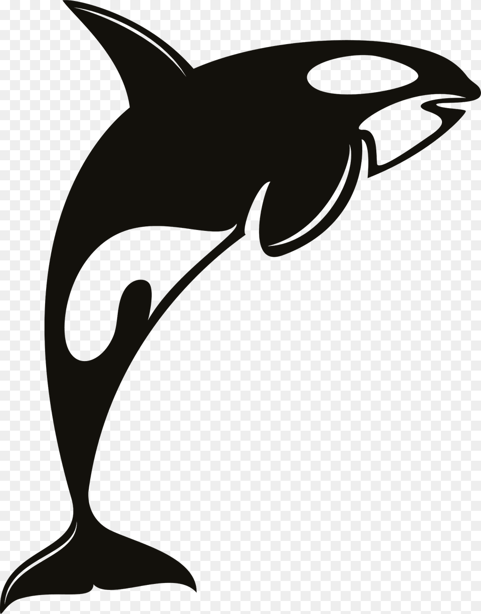 Orca Clipart, Animal, Sea Life, Mammal, Fish Free Png Download