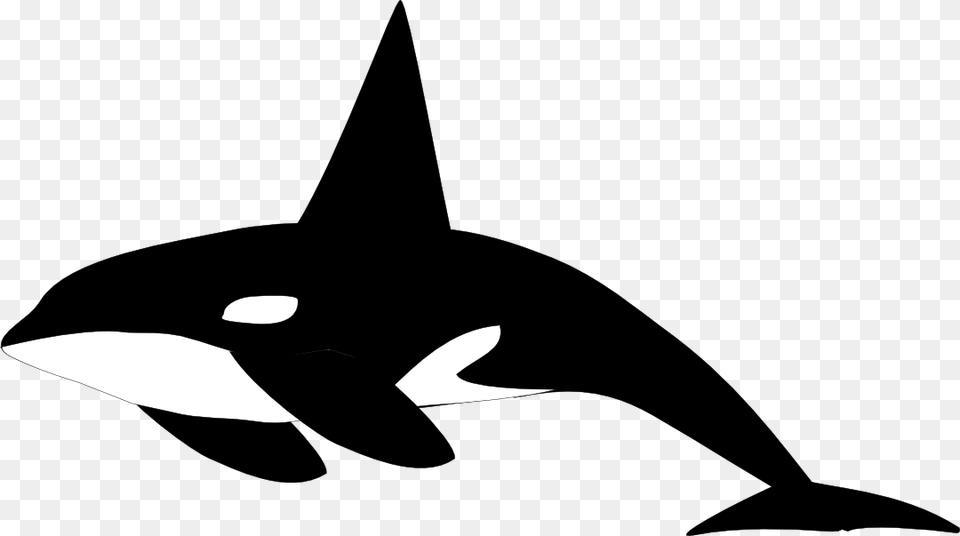 Orca Clipart, Animal, Mammal, Sea Life, Stencil Png Image