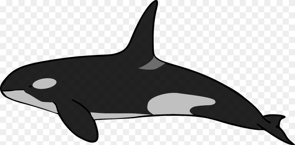 Orca Clipart, Animal, Mammal, Sea Life, Fish Free Png Download