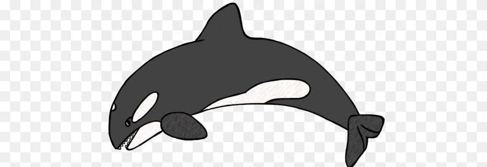 Orca Clipart Whale Digital Dxf Sweet Sardinia Orca, Animal, Sea Life, Mammal Free Png