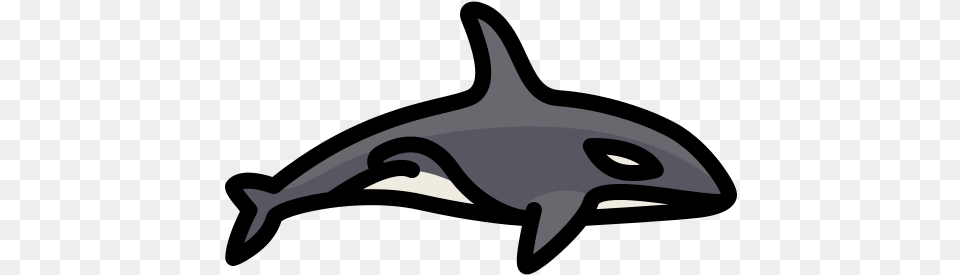 Orca Icon Killer Whale, Animal, Sea Life, Mammal, Fish Png