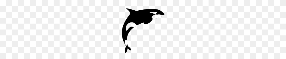 Orca Icons Noun Project, Gray Free Png