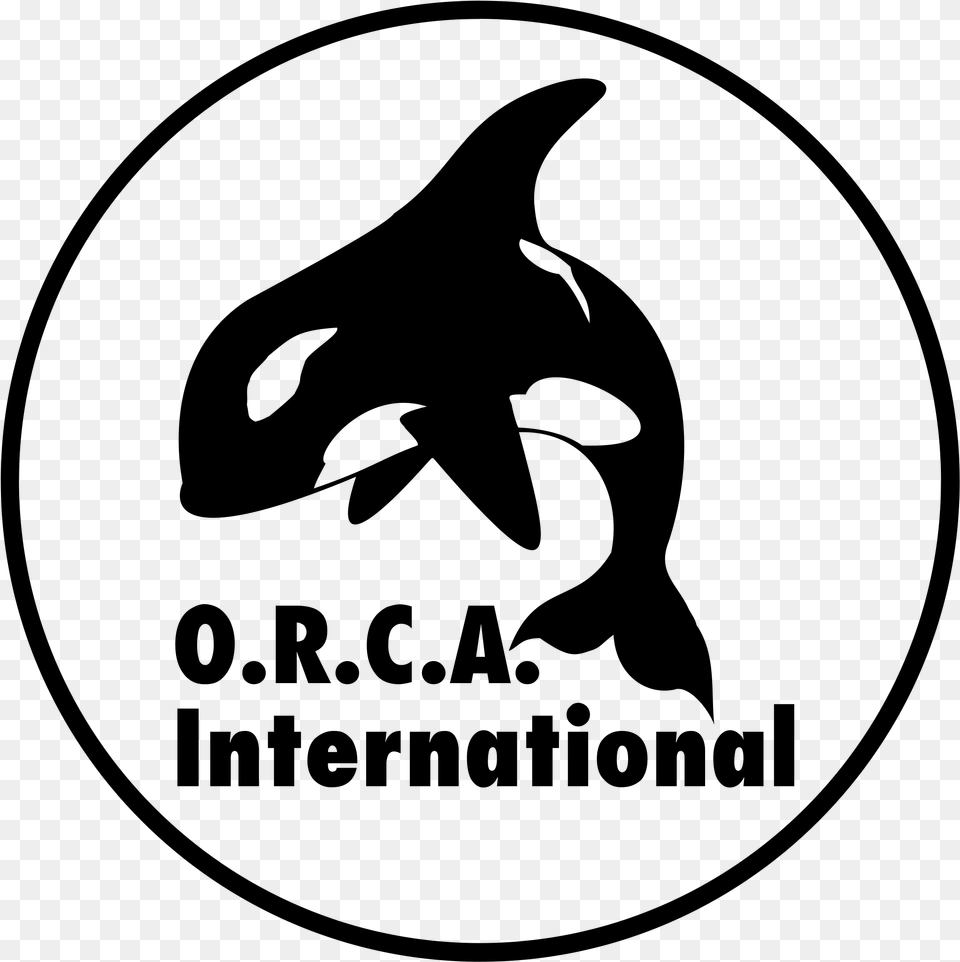 Orca International Logo Transparent Killer Whale, Gray Free Png