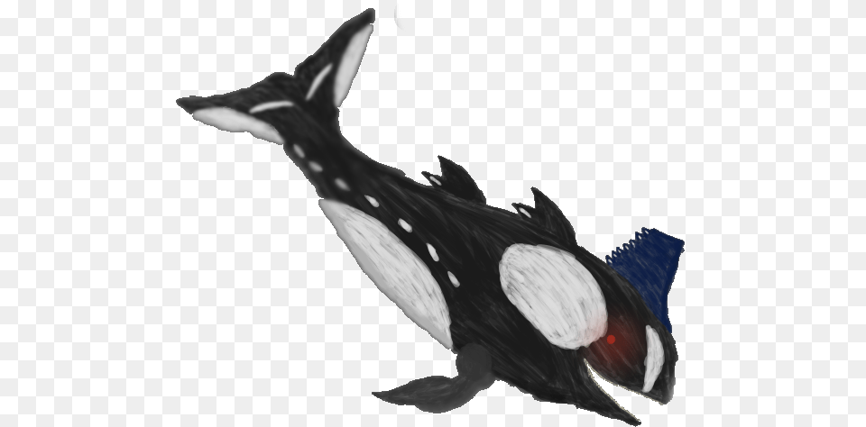 Orca Leviathan Killer Whale, Animal, Mammal, Sea Life, Bird Free Transparent Png