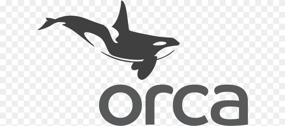 Orca Orca Server, Animal, Dolphin, Mammal, Sea Life Free Png Download