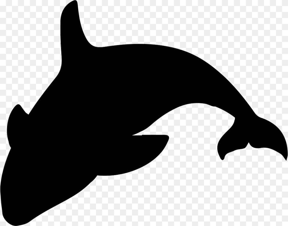 Orca Silhouette Icon, Animal, Sea Life, Fish, Shark Png