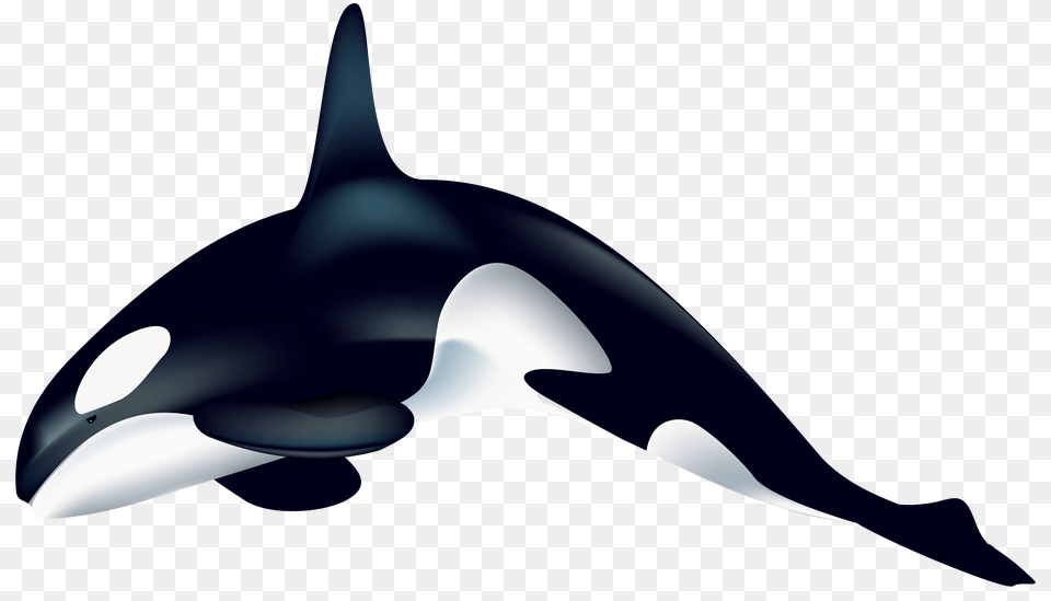 Orca Transparent Clip Art, Animal, Mammal, Sea Life, Appliance Free Png